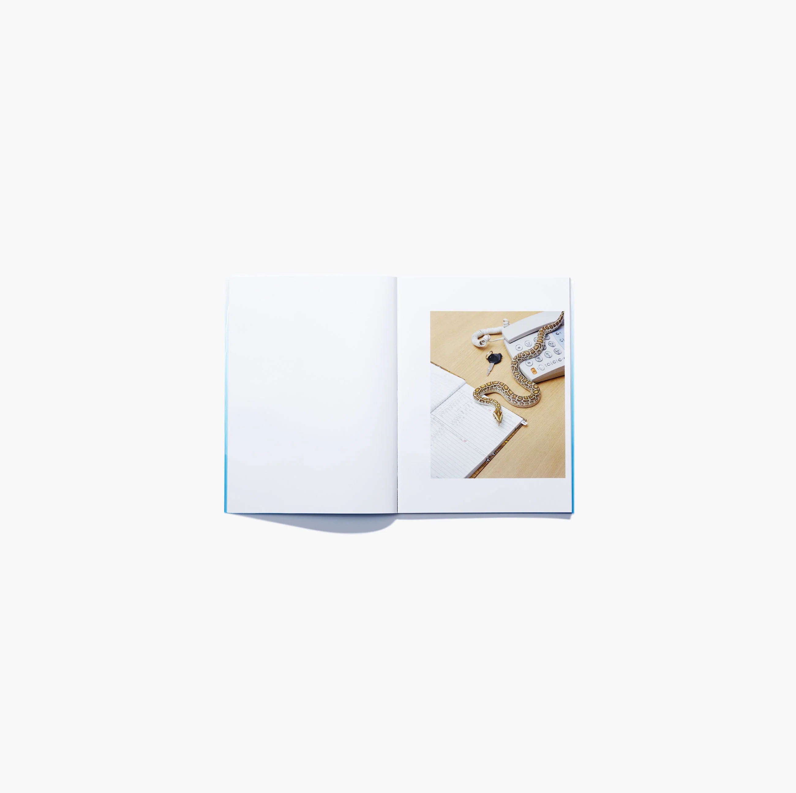 N°14 - Charles Negre & Thomas Rousset - Image 4