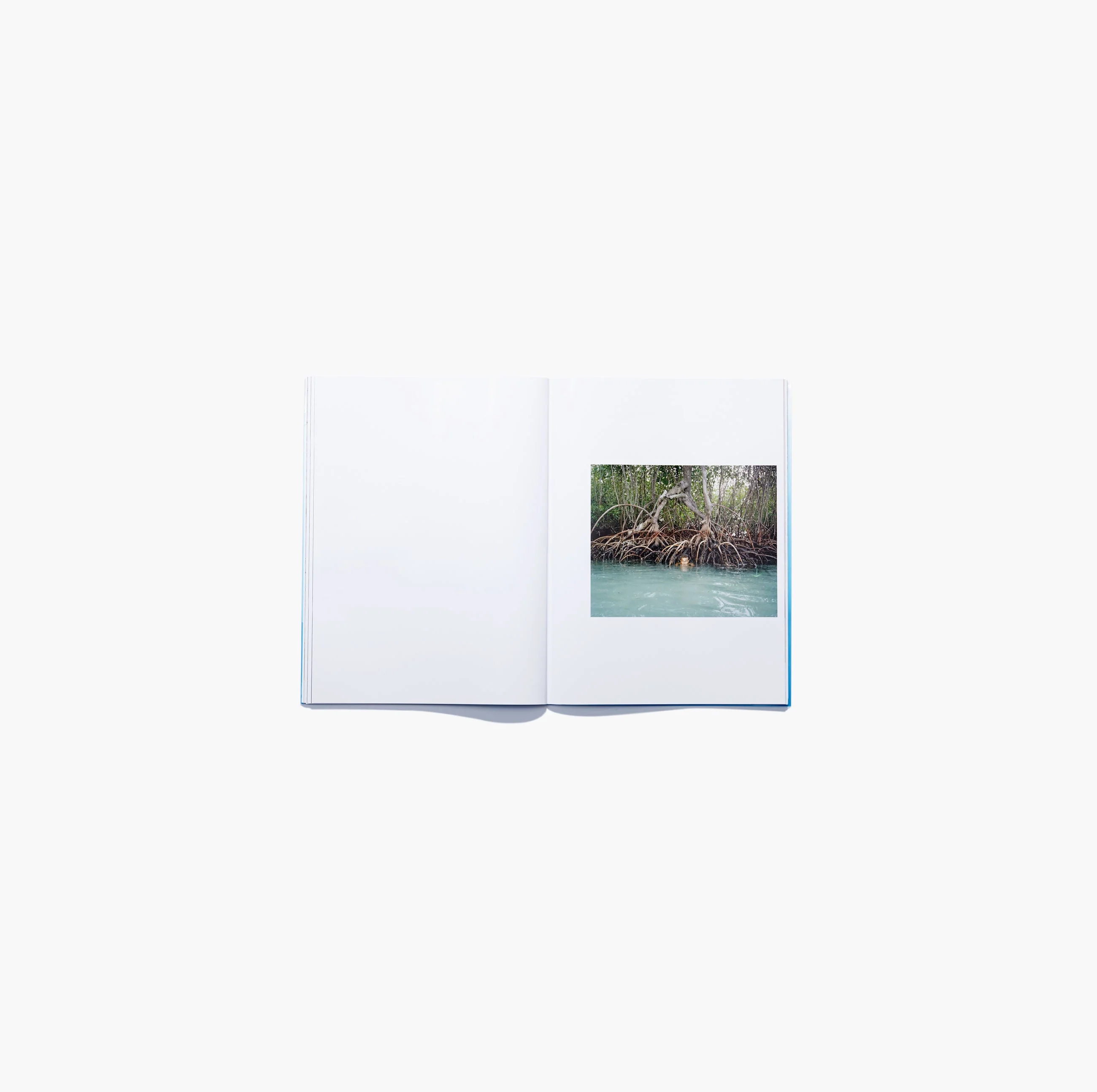 N°14 - Charles Negre & Thomas Rousset - Image 7
