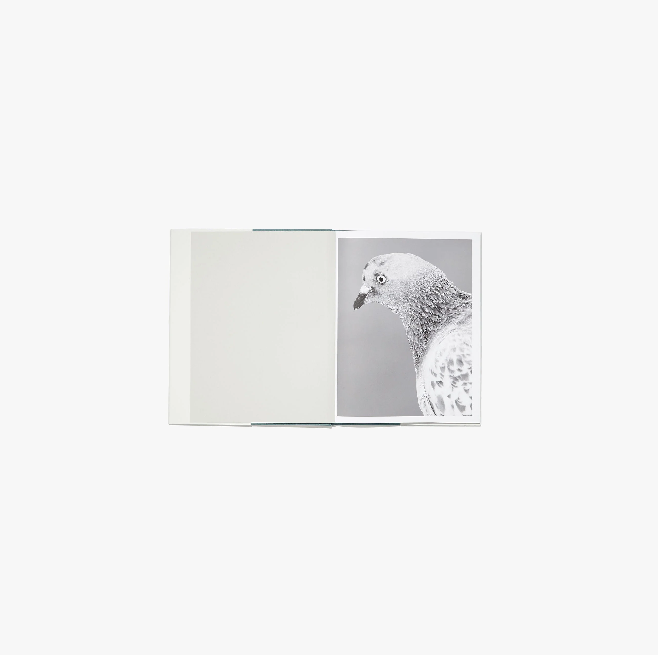 N°11 - Mårten Lange - Image 3