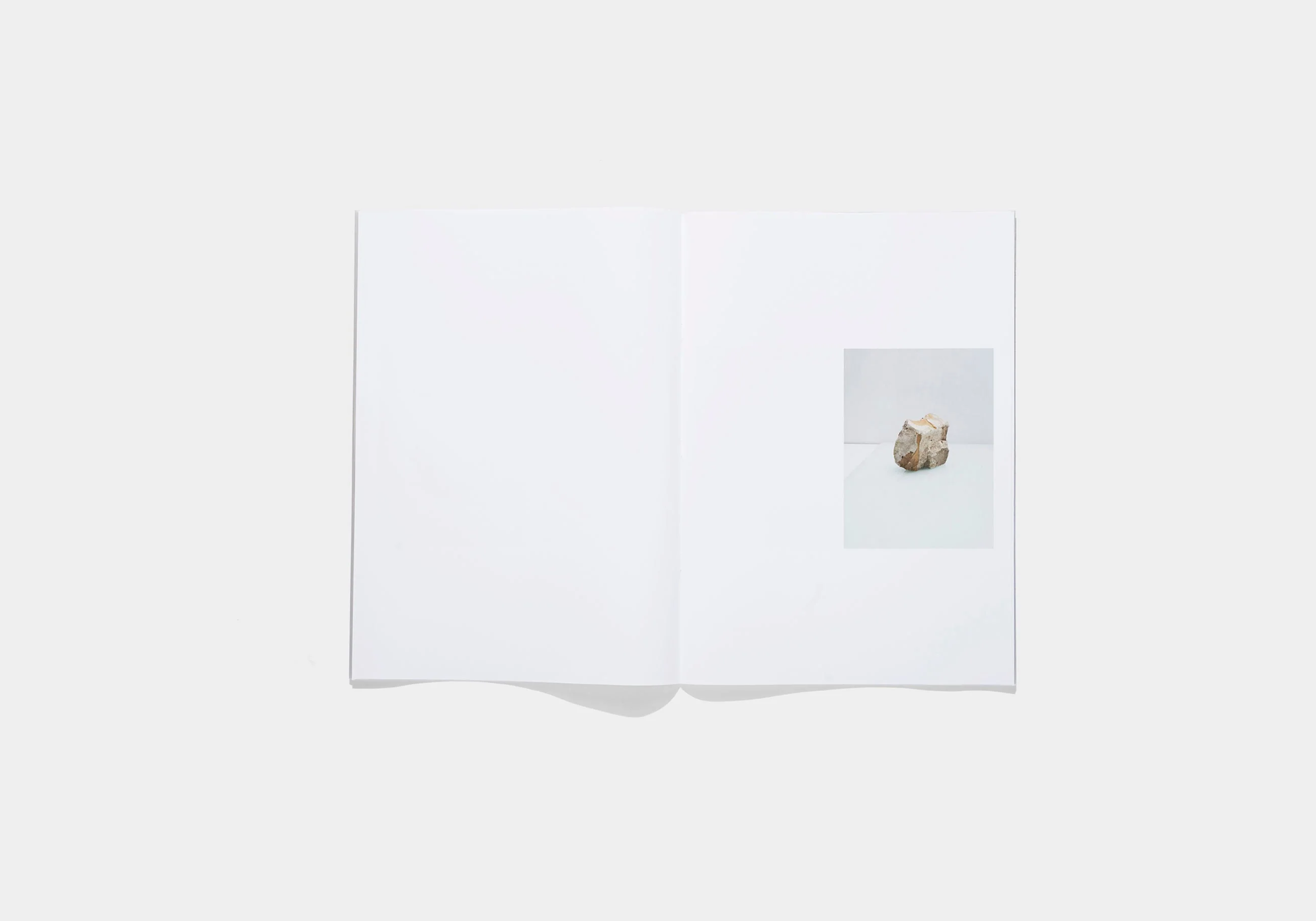 N°16 - Andrzej Steinbach - Image 7